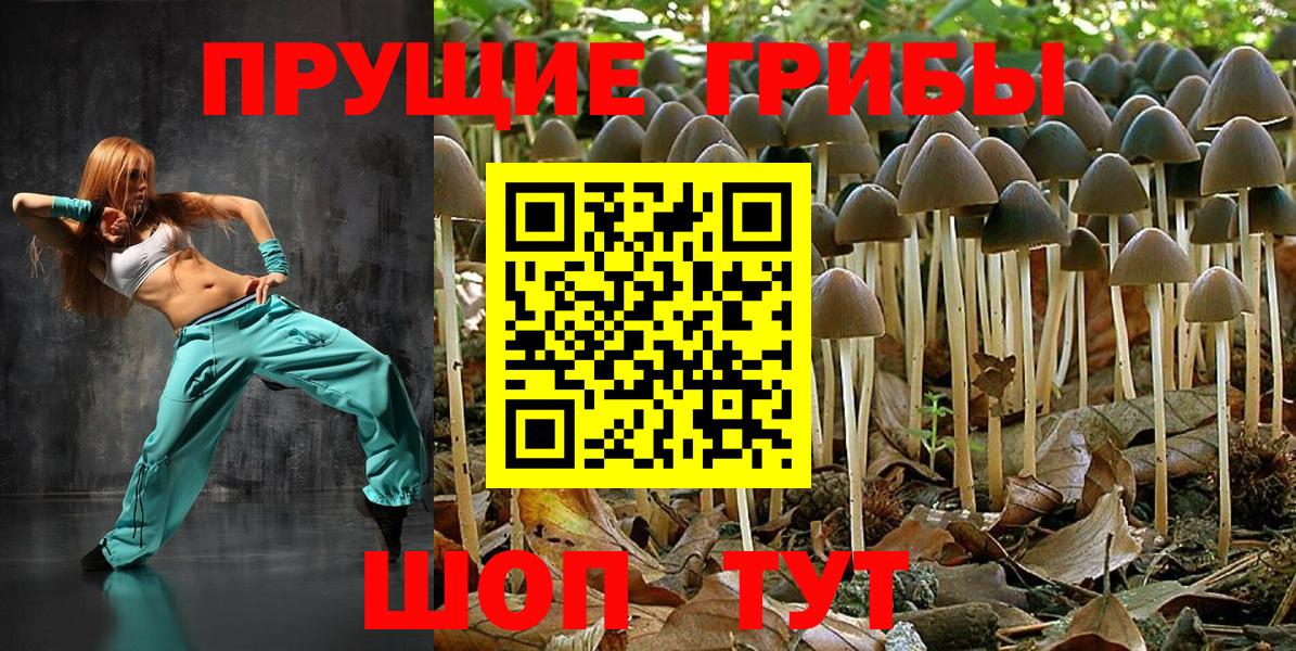 Псилоцибиновые грибы GOLDEN TEACHER  Вход с VPN  купить наркотик  Грязи 